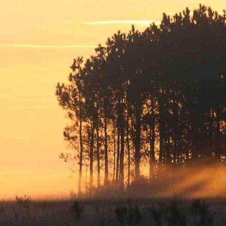 Rion-Des-Landes Chez Flofloヴィラ エクステリア 写真