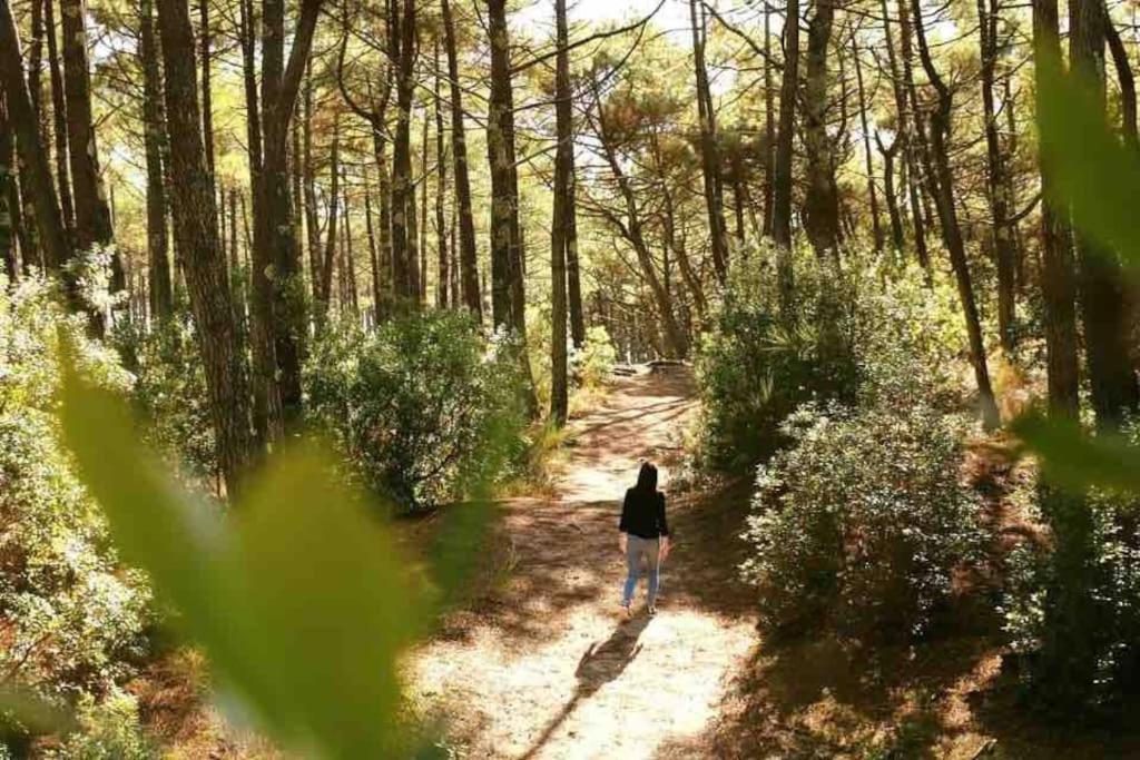 Rion-Des-Landes Chez Flofloヴィラ エクステリア 写真